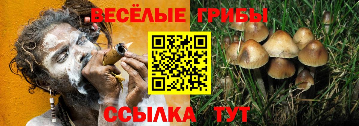 Северобайкальск  Галлюциногенные грибы Psilocybe  Галлюциногенные грибы Cubensis  Вход с VPN 