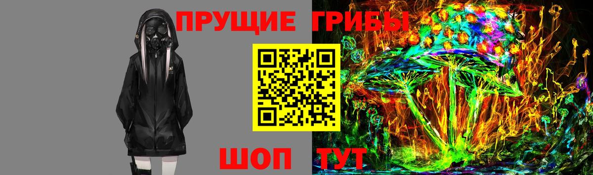 Галлюциногенные грибы мухоморы Северобайкальск